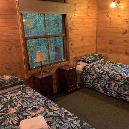 Springbrook Mountain Chalets المظهر الخارجي الصورة
