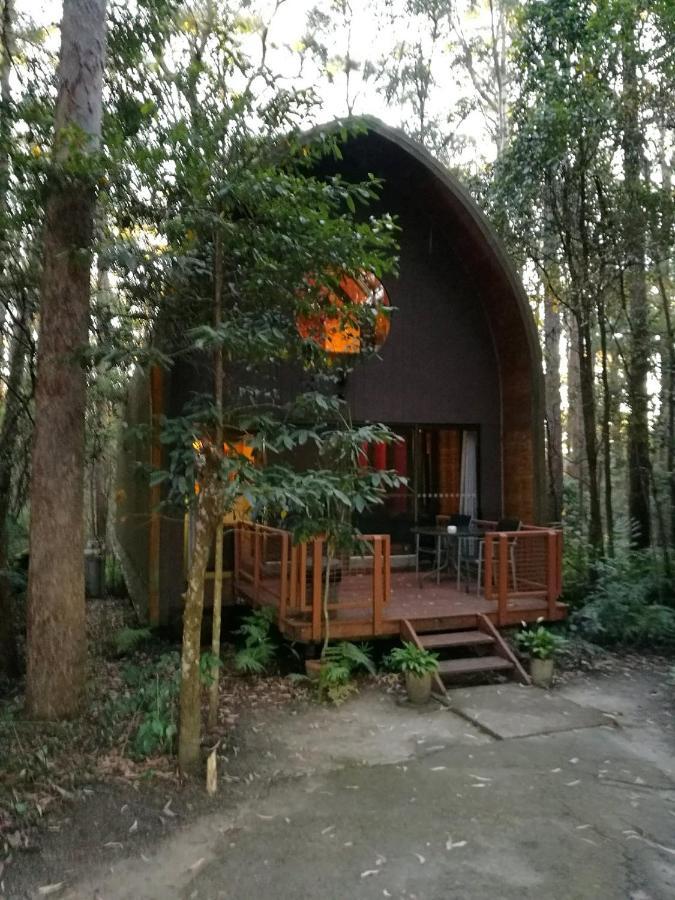 Springbrook Mountain Chalets المظهر الخارجي الصورة