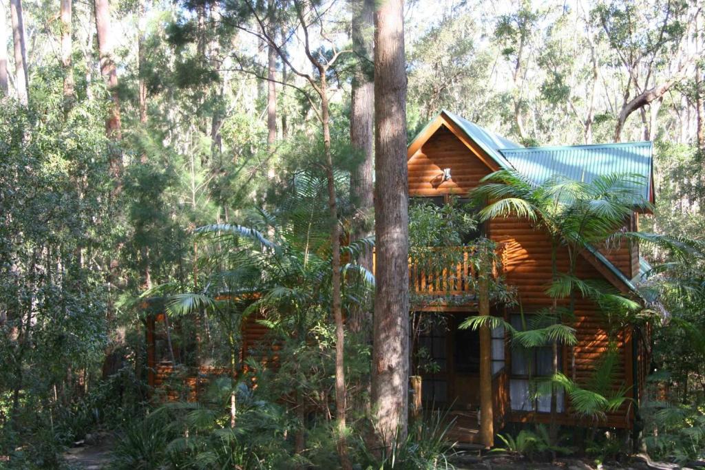Springbrook Mountain Chalets الغرفة الصورة
