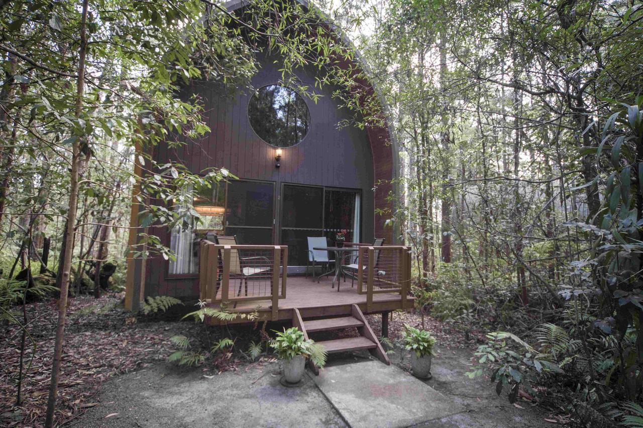 Springbrook Mountain Chalets الغرفة الصورة