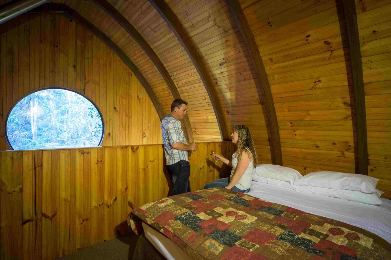 Springbrook Mountain Chalets الغرفة الصورة