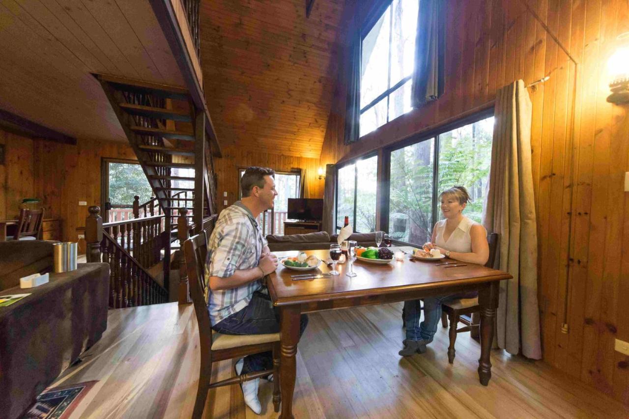 Springbrook Mountain Chalets المظهر الخارجي الصورة