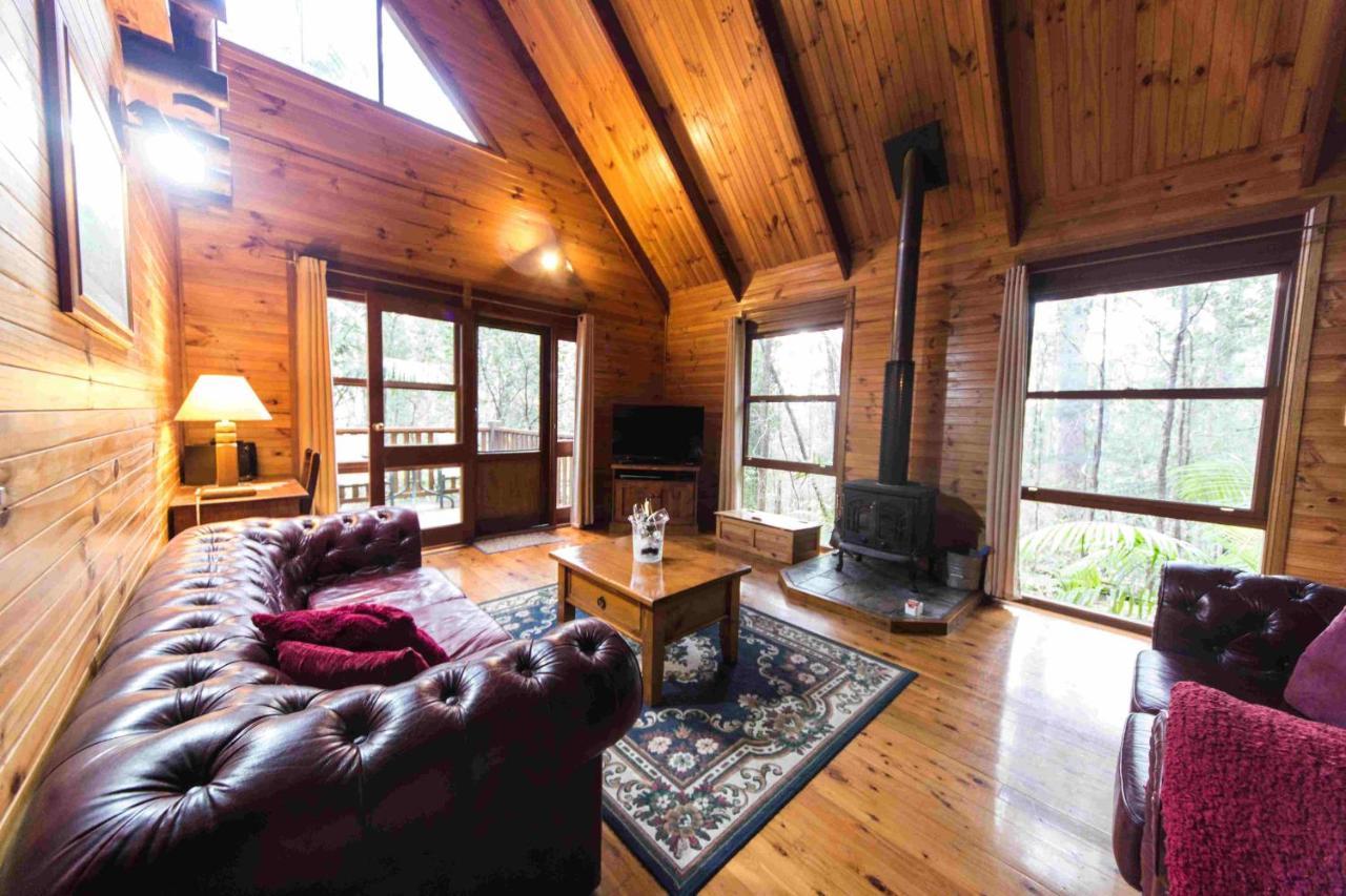 Springbrook Mountain Chalets المظهر الخارجي الصورة